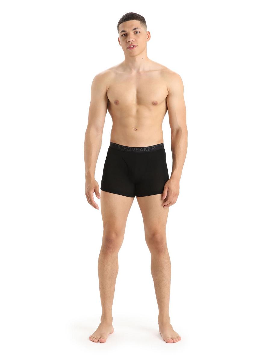 Icebreaker Merino 175 Everyday Thermal Boxers With Fly Miesten Alusvaatteet Mustat | FI 1293VRWD